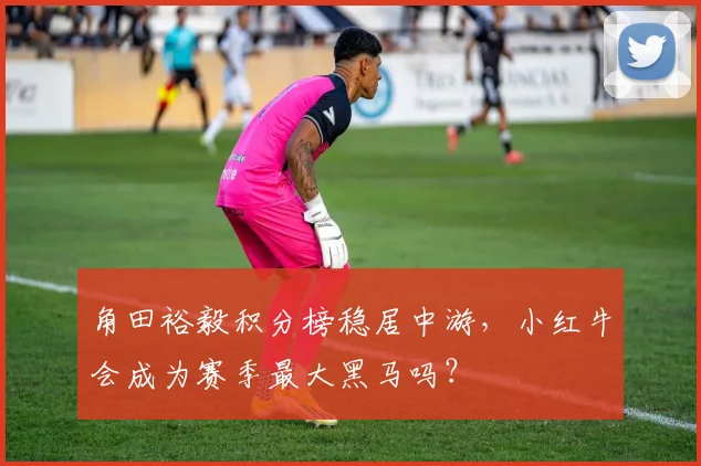 角田裕毅积分榜稳居中游，小红牛会成为赛季最大黑马吗？